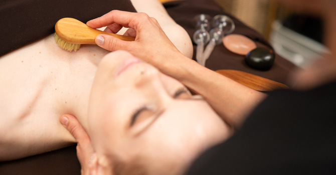 Intro to Gepina Method Lymphatics (8 CE Credits)