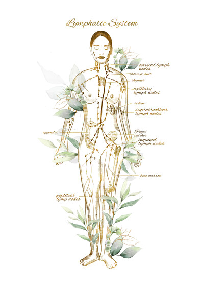 Link to: https://www.eventbrite.com/cc/lymphatic-drainage-series-gmld-4842579?utm-campaign=social&utm-content=attendeeshare&utm-medium=discovery&utm-term=odclsxcollection&utm-source=cp&aff=odclsxcollection