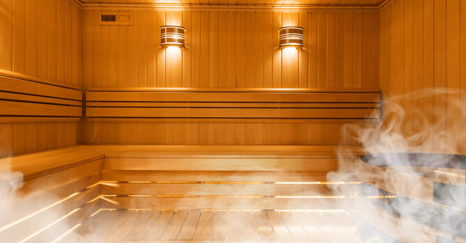 Sauna Therapy image