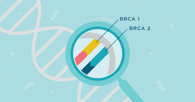 Understanding the BRCA Gene image