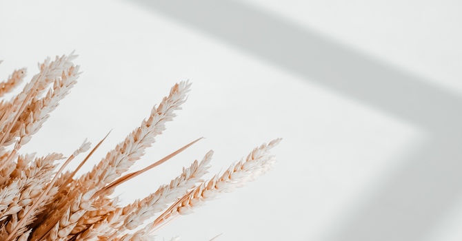 Gepina Caterina Services