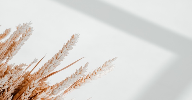 Gepina Caterina Services