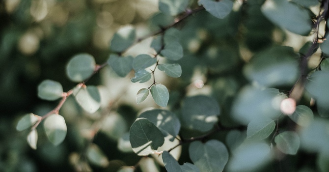 Gepina Caterina Services